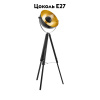 Торшер Eglo Covaleda 49618