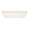 Потолочный светильник Loft IT Flims 10228/E