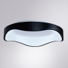 Потолочный светильник Arte Lamp Ankaa A3085PL-48BK