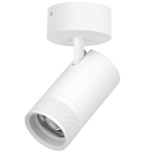 Накладной светильник 20-55G с адаптером Lightstar Canno Pro C4406SO