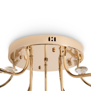 Потолочная люстра Freya Fioress FR5571CL-09G