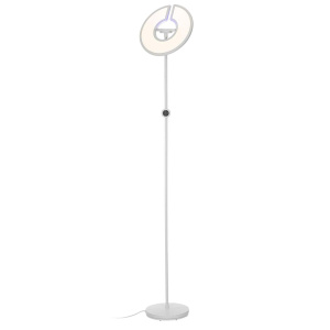 Торшер Citilux Loong CL810030