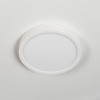 Накладной светильник Citilux CL738120N