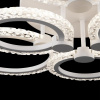 Потолочная люстра Freya Saida FR10016CL-L73W