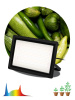 Фитопрожектор Эра FITO-200W-Ra90-LED Б0059879