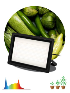 Фитопрожектор Эра FITO-200W-Ra90-LED Б0059879