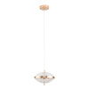 Подвесной светильник Arte Lamp Andromeda A2089SP-6GO