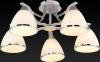 Потолочная люстра Toplight Sheena TL3670X-05RY
