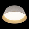 Потолочный светильник Loft IT Evans 10224 White