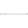 Светодиодная лента Arlight RT-A30-8mm 24V White6000 (2.9 W/m, IP20, 2835, 5m) 019917(2)