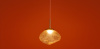 Подвесной светильник Freya Mote FR5601PL-L40YA
