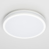 Потолочный светильник Citilux Luns CL711020V