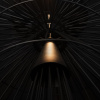 Подвесной светильник Loft IT Star 10141/600 Black