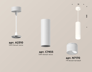 Подвесной светильник Ambrella Light Techno Spot XP7455004 (A2310, C7455, N7170)