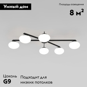 Потолочная люстра Eurosvet Opaline 70220/6 черный a065765