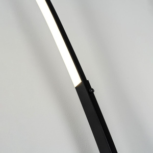 Торшер Modemodern MD.6801.01FL