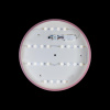 Потолочный светильник Loft IT AXEL 10002/24 Pink