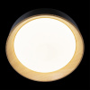 Потолочный светильник Loft IT Coin 10202 Black