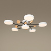 Потолочный светильник Freya Crown FR6119CL-L72W