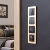 Рамка на 4 поста Werkel Platinum шампань 4690389184529 W0042611