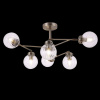 Люстра на штанге Freya Daisy FR5041PL-06BS