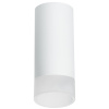 Накладной светильник Lightstar Rullo R648681 (216486+202481)