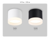 Накладной светильник Ambrella Light Acrylic Frost TN5366