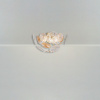 Потолочная люстра Freya Brillia FR5274CL-06G