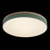 Потолочный светильник Loft IT AXEL 10001/36 Green