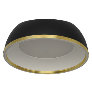 Потолочный светильник Citilux Floom CL736151