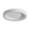 Потолочный светильник Freya Fit FR6157CL-L65W