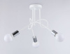 Потолочная люстра Ambrella Light Loft TR80414