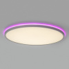 Потолочный светильник Citilux Norma CL749500