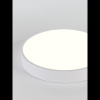 Потолочный светильник Natali Kovaltseva LED LAMPS 81112/5C
