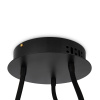 Потолочный светильник Freya Fancy FR6059CL-L35B