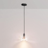 Подвесной светильник DeLight Collection MT8603 black