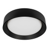 Потолочный светильник Loft IT Coin 10202 BB