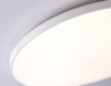 Потолочный светильник Ambrella Light Orbital FZ1223