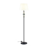 Торшер Odeon Light Sochi 4896/1F