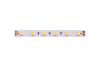 Светодиодная лента DesignLed DSG560-24-NW-33 002118