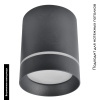 Накладной светильник Arte Lamp Elle A1949PL-1BK