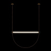 Подвесной светильник Loft IT Liana 10221/2050