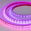 Светодиодная герметичная лента Arlight SPI-PFS-B60-12mm 24V RGB-PX6-BPT (12 W/m, IP68, 5060, 5m) 039602