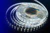 Светодиодная лента DesignLed DSG560-24-W-33 000520