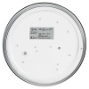 Потолочный светильник Эра Relict 22 SPB-6-20 4К WH Б0059507