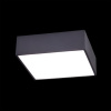 Накладной светильник Citilux Тао CL712X122N