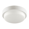Настенно-потолочный светильник Wolta LCL04-8W-R01-6K