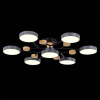 Люстра на штанге Evoluce Faema SLE6006-702-07