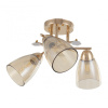 Потолочная люстра Arte Milano Amalfi 326419/3 FG+WH