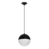 Подвесной светильник Arlight SP-EMISFERO-HANG-BUILT-R150-11W Day4000 (BK, 170 deg, 230V) 056591